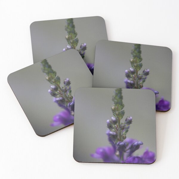 Item preview, Macro Shot of Toadflax Purple designed and sold by Alexis4019.