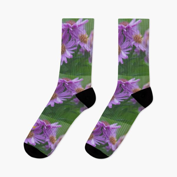 Item preview, Purple Aster designed and sold by KarenWoodArt.