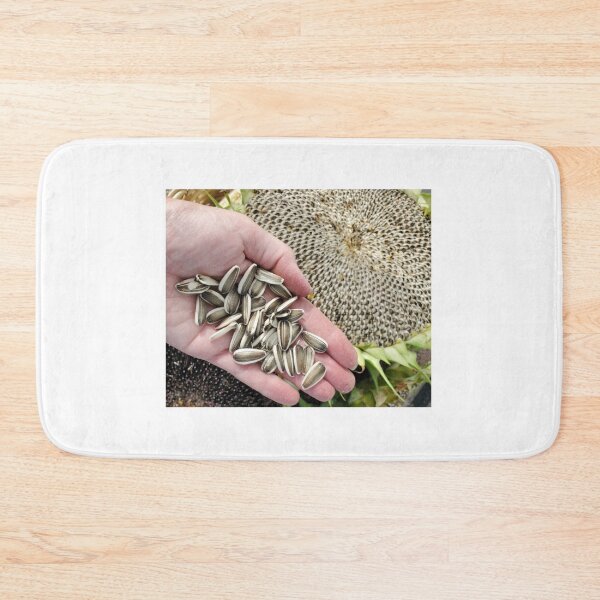 Item preview, Harvesting Sunflower Seeds designed and sold by SusanSeamaiden.