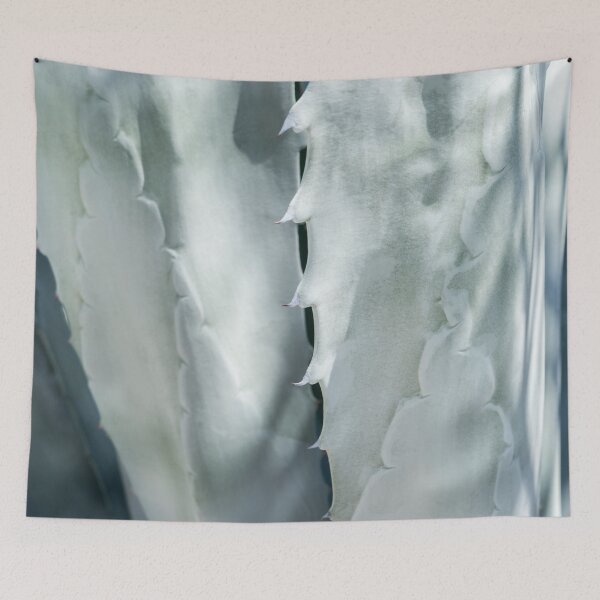 Item preview, Thorny Patterns and Textures - Fascinating Agave Americana Leafs designed and sold by Georgia Mizuleva.