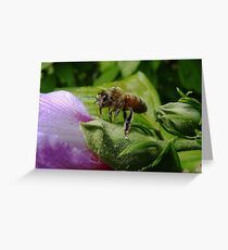 "Fee fie foe fum... Look out flower here I come!" Greeting Card