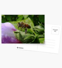 "Fee fie foe fum... Look out flower here I come!" Postcards