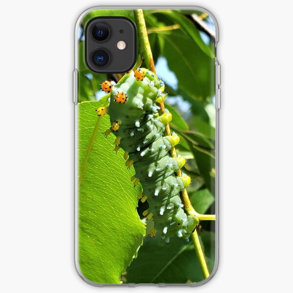 Cecropia (Cleopatra) Moth Caterpillar iPhone Soft Case