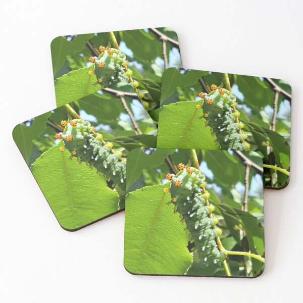 Item preview, Cecropia (Cleopatra) Moth Caterpillar designed and sold by SusanSeamaiden.