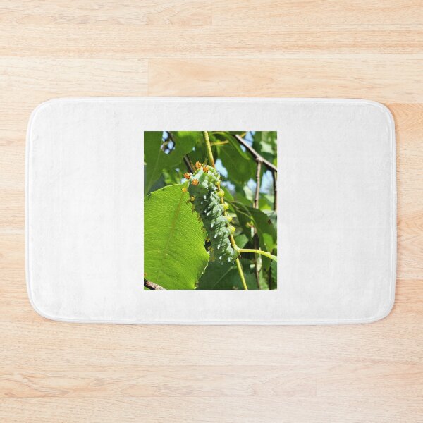 Item preview, Cecropia (Cleopatra) Moth Caterpillar designed and sold by SusanSeamaiden.