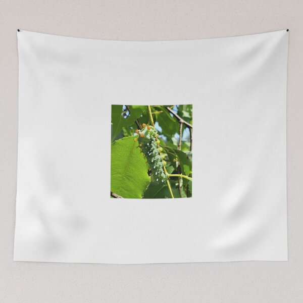 Item preview, Cecropia (Cleopatra) Moth Caterpillar designed and sold by SusanSeamaiden.