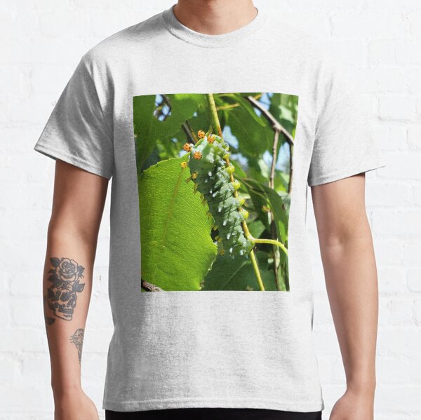 Cecropia (Cleopatra) Moth Caterpillar Classic T-Shirt