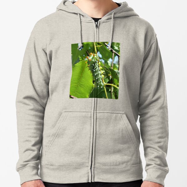 Cecropia (Cleopatra) Moth Caterpillar Zipped Hoodie