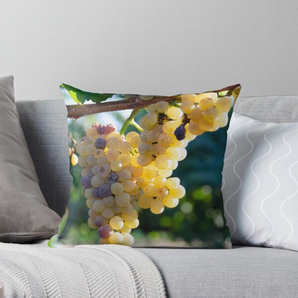 Item preview, Temecula Winery Grapes designed and sold by K D Graves Photography.