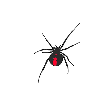 Artwork thumbnail, Redback by Perthtshirtguy