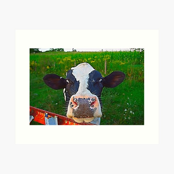 Vista previa del artículo con la obra «Bigotes y ojos anchos Holstein», diseñado y vendido por Andrea Swiedler.