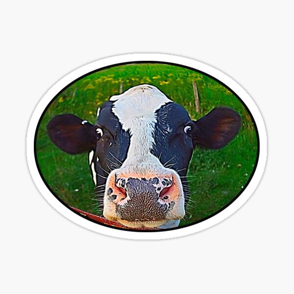 Vista previa del artículo con la obra «Bigotes y ojos anchos Holstein», diseñado y vendido por Andrea Swiedler.