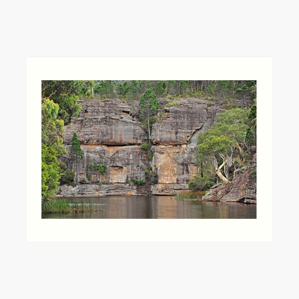 Grand Scale - Dunn's Swamp NSW Australia Art Print