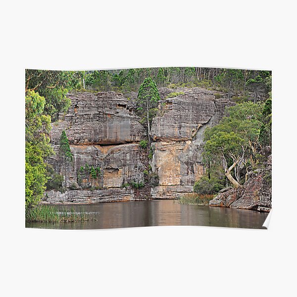 Grand Scale - Dunn's Swamp NSW Australia Poster