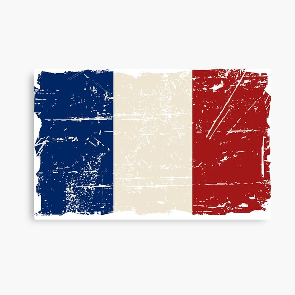 Drapeau De France Accroché Sur Le Mur De Briques Vecteurs libres de