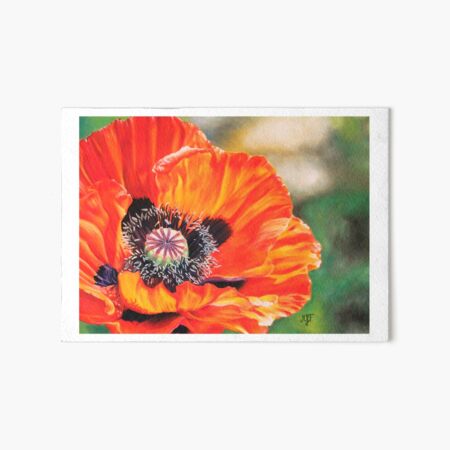 Coquelicot au pastel sec Impression rigide