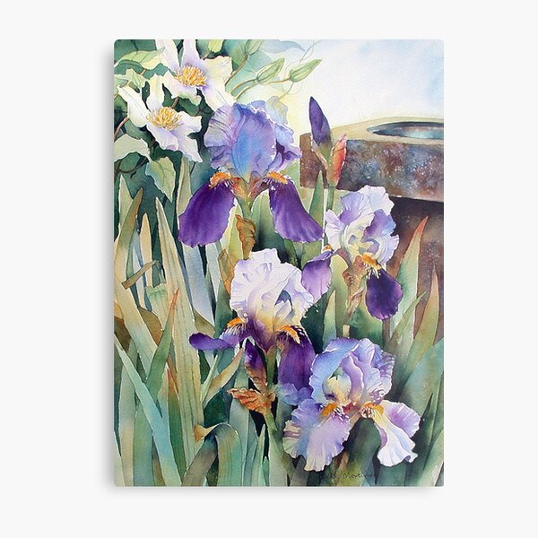 Irises and Clematis Metal Print