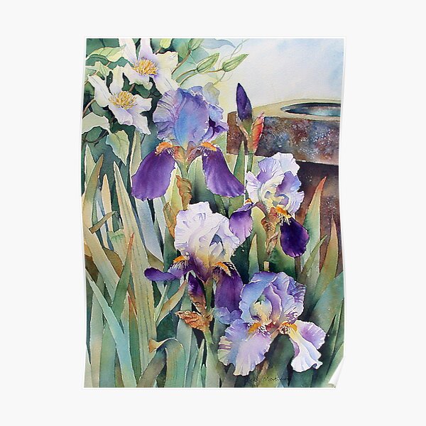Irises and Clematis Poster