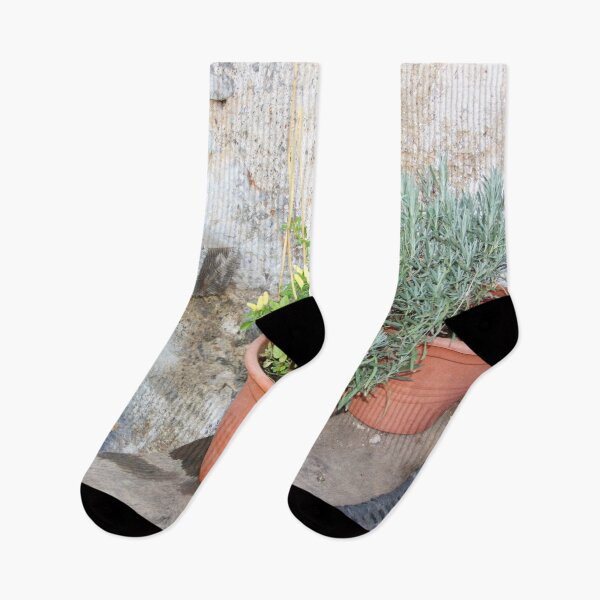 Item preview, Herbs and Pots Against A Stone Wall  designed and sold by Niina  Niskanen.