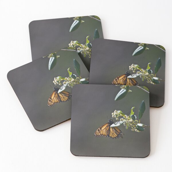 Item preview, A Bright Orange Monarch Butterfly Butterflies  designed and sold by Jason Gilbert.