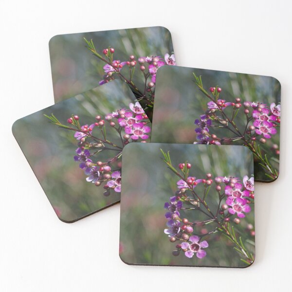 Item preview, A Bright Purple Geraldton Wax Flower designed and sold by Jason Gilbert.