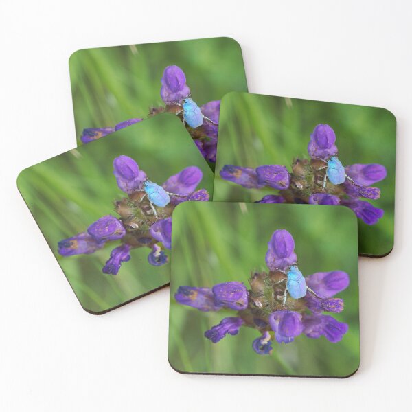 Item preview, Hoplia coerulea designed and sold by KGibbs.
