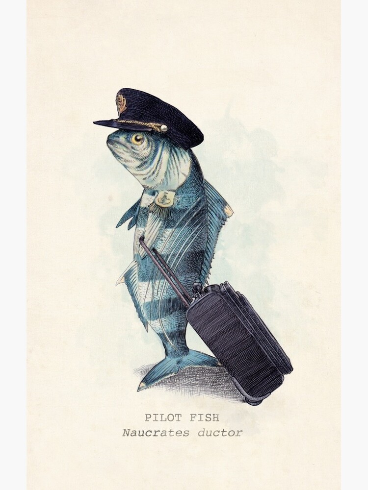 The Pilot by opifan