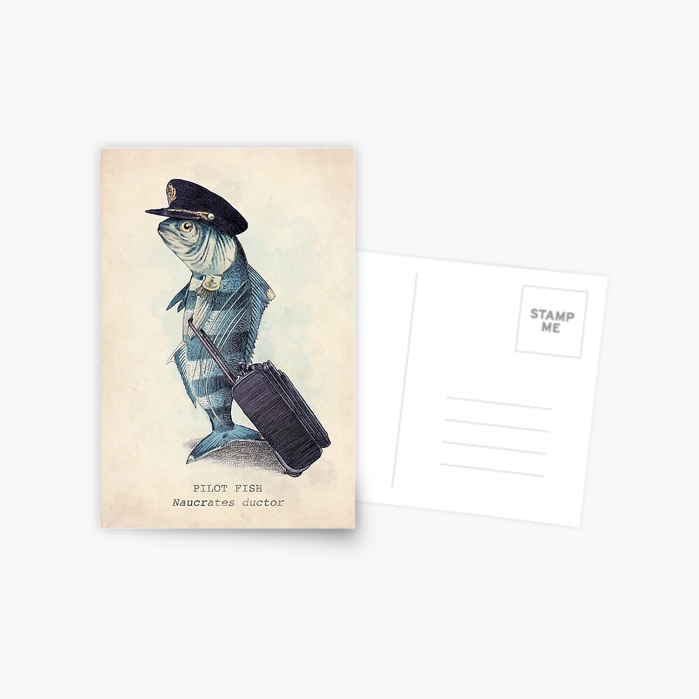 The Pilot Postcard