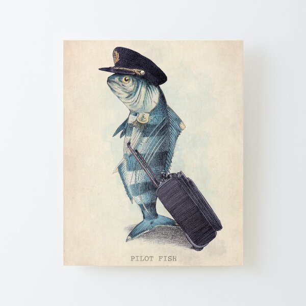 The Pilot Canvas Mounted Print