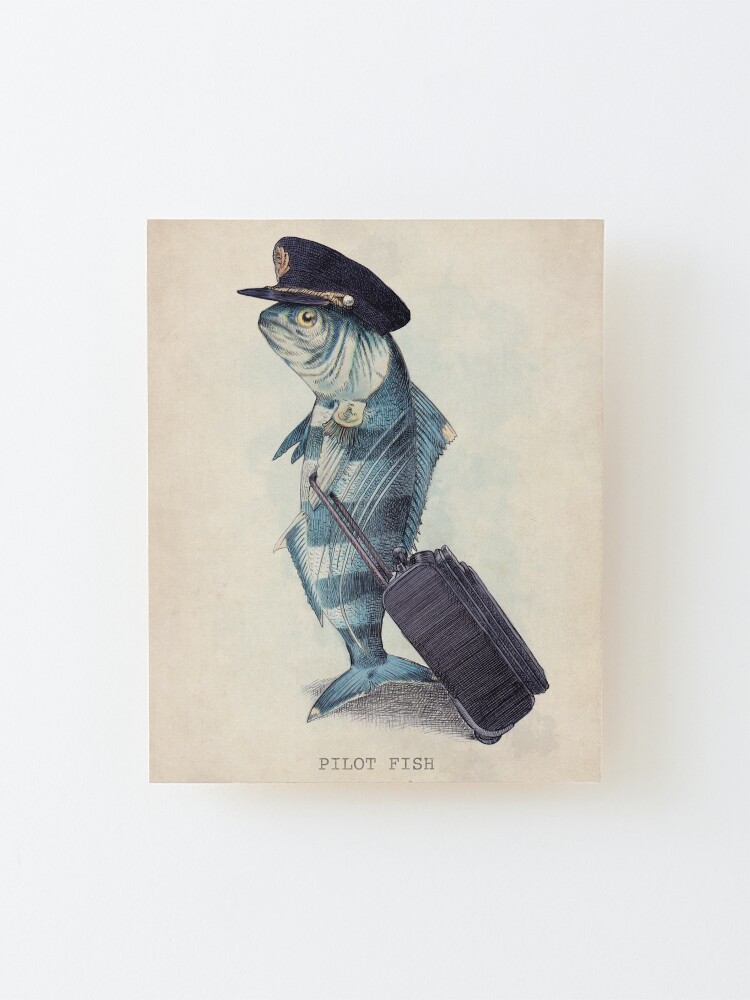 Alternate view of The Pilot Mounted Print