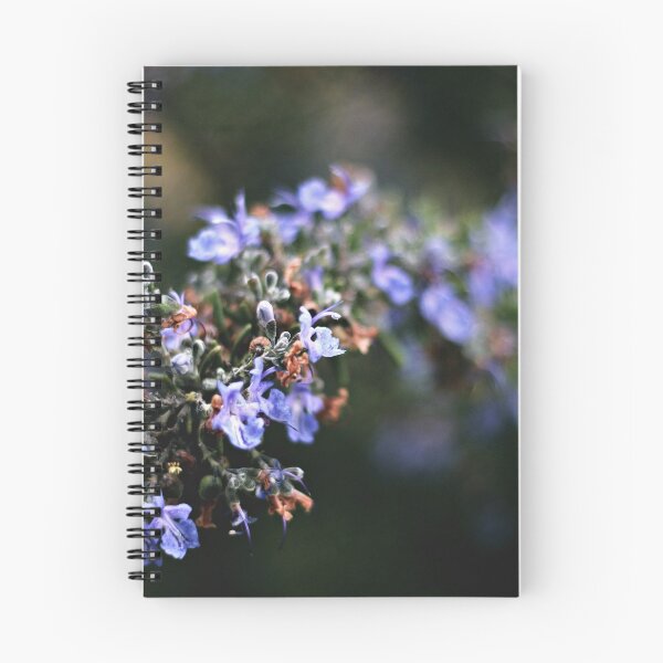 Item preview, Karoo Beauty designed and sold by Fiona Christensen.