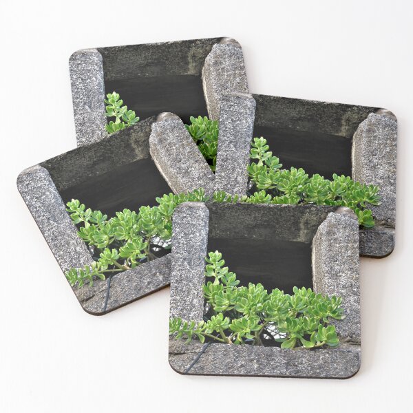 Item preview, Greasy plant designed and sold by ART22.