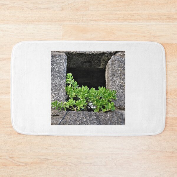 Item preview, Greasy plant designed and sold by ART22.