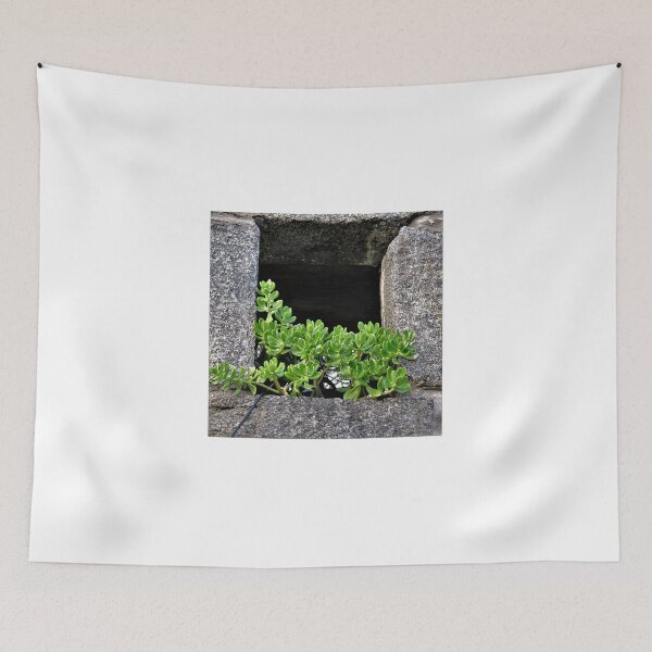 Item preview, Greasy plant designed and sold by ART22.