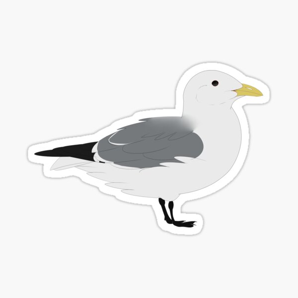 Item preview, Black Legged Kittiwake designed and sold by seagaull.