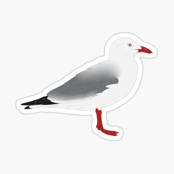 Item preview, Red Billed Gull designed and sold by seagaull.
