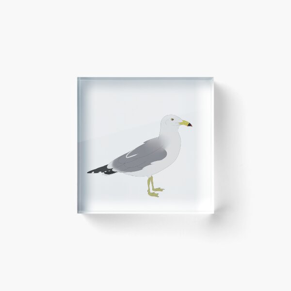 Item preview, Black Tailed Gull designed and sold by seagaull.