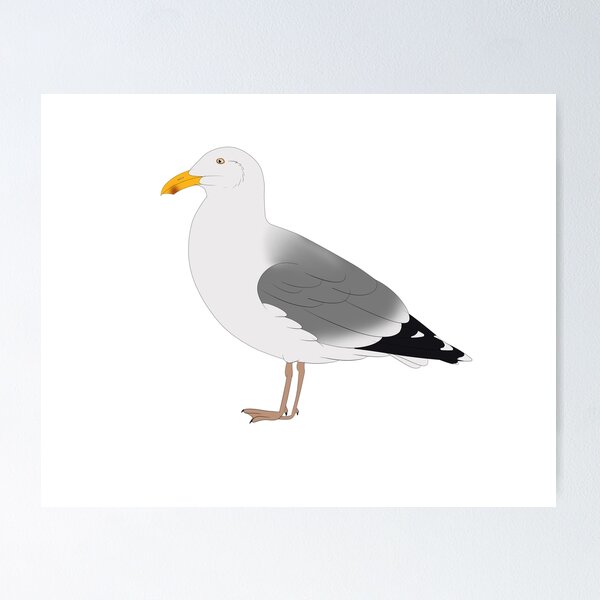 Item preview, Western Gull designed and sold by seagaull.