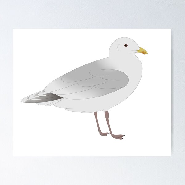 Item preview, kumlien's gull designed and sold by seagaull.