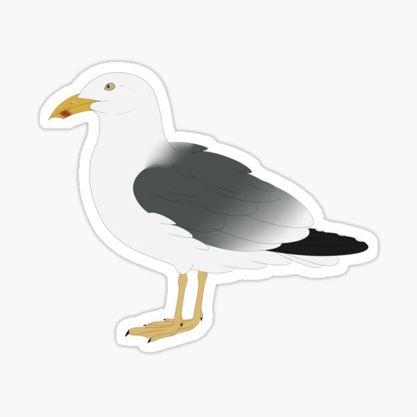 yellow legged gull Sticker