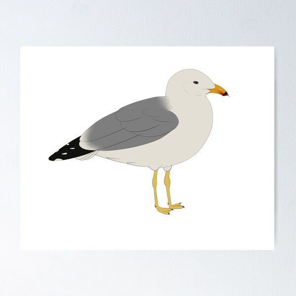 Item preview, armenian gull  designed and sold by seagaull.