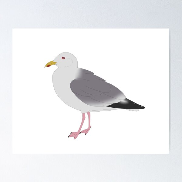 Item preview, Slaty Backed gull designed and sold by seagaull.