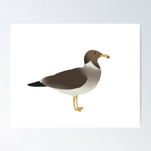 Item preview, Sooty Gull designed and sold by seagaull.