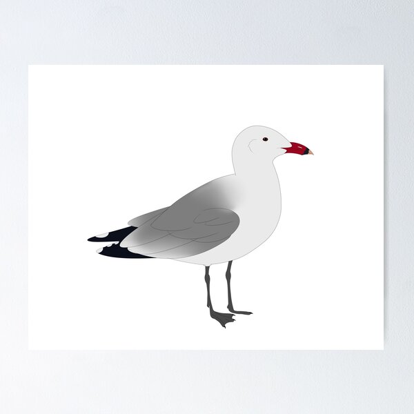 Item preview, Audouin's gull designed and sold by seagaull.