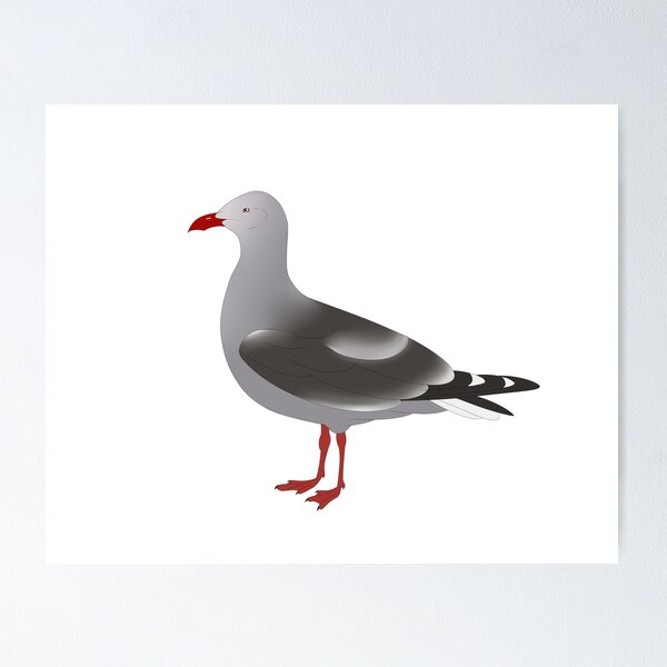 Item preview, Dolphin Gull designed and sold by seagaull.
