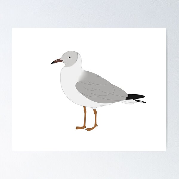 Item preview, Hartlaub's gull designed and sold by seagaull.