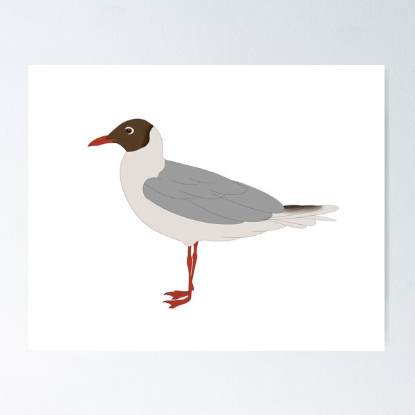 Item preview, brown hooded gull designed and sold by seagaull.