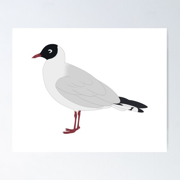 Item preview, Andean Gull designed and sold by seagaull.