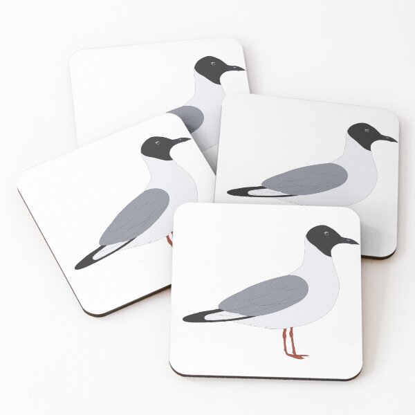 Item preview, bonaparte's gull  designed and sold by seagaull.