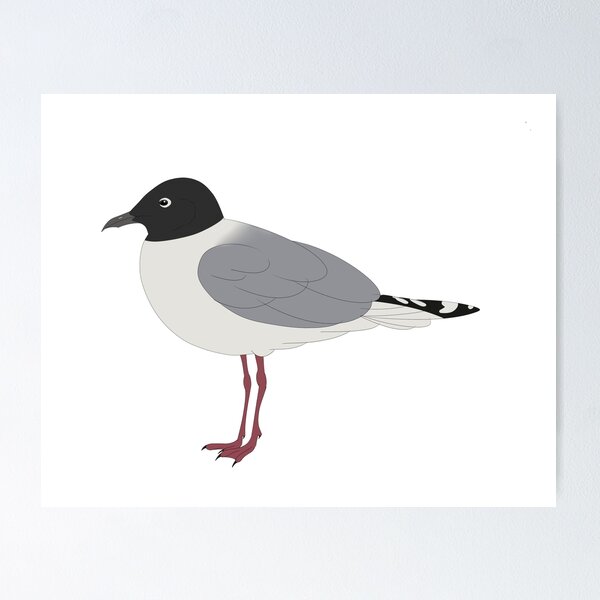 Item preview, Saunder's gull designed and sold by seagaull.